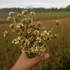 septiagustin_20