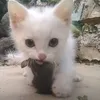 wuweerwy2hk