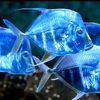 blue0373