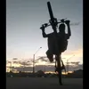 riquelme_alves19