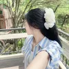 dtq_25