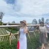 hoangluong1111868