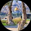 أبو خالد الزايد