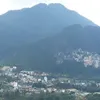 phuongvu65