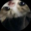 hq_nkunqs
