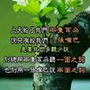 appleyou8