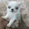 mindpinkk
