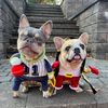 thefrenchbulldogsisters