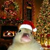 angelmercado096