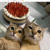 Trần Bình hết thời :)))