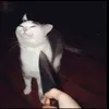 fexuss_