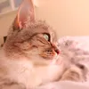 elenalukashova15