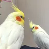 takotakochannel3