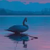 nightswan75