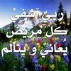 user8537123708363