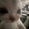 _terka774