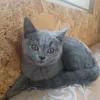 aniamalutka23