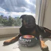 kiryshenka__