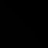 12.iif