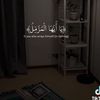user441236858