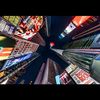 nycforever244