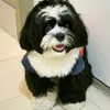paulmichaelmarcelo