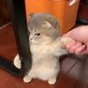 auulllrhmh