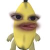 yrfavidaa