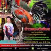 bas882299