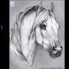 youssefjoo499