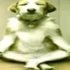 aiqi_00