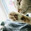 pennyandthejets5