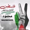 mahmoudrezk36