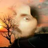 muhammadmasood1433