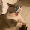 plsss