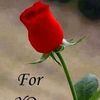 mzevinar47