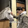 محمد الطائي