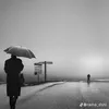 hienbuii229