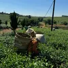 traoolongbaoloc