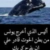 jalelbenhamida