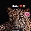 haniosman266