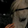 ttaapptt3