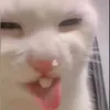 camly.nek