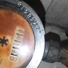 filonapoletano