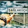 sultan04242418182004