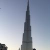 najatmohamed250