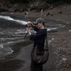 boophotog
