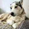 notmeagain_81