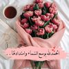 ntqprint84