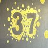 channell88